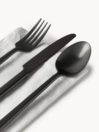 Ménagère brossée Shine, tailles variées, 4 personnes (20 pièces)