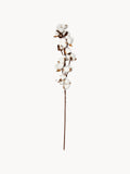 Branche décorative Baumwolle, long. 68 cm