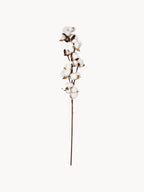 Branche décorative Baumwolle, long. 68 cm
