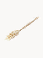 Branche décorative Baumwolle, long. 68 cm